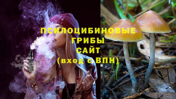 МДПВ Алзамай