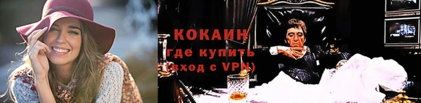 соль ск Алексин