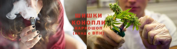 прущие грибы Абаза