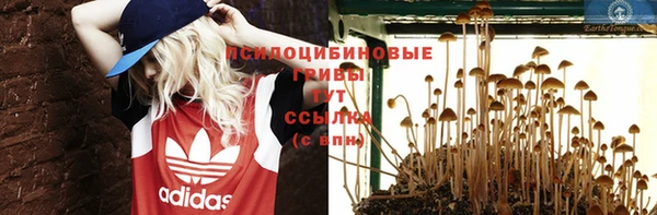 соль ск Алексин